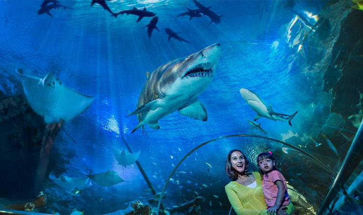 ตั๋ว Aquaria KLCC - Peak (Weekend & Public Holidays)