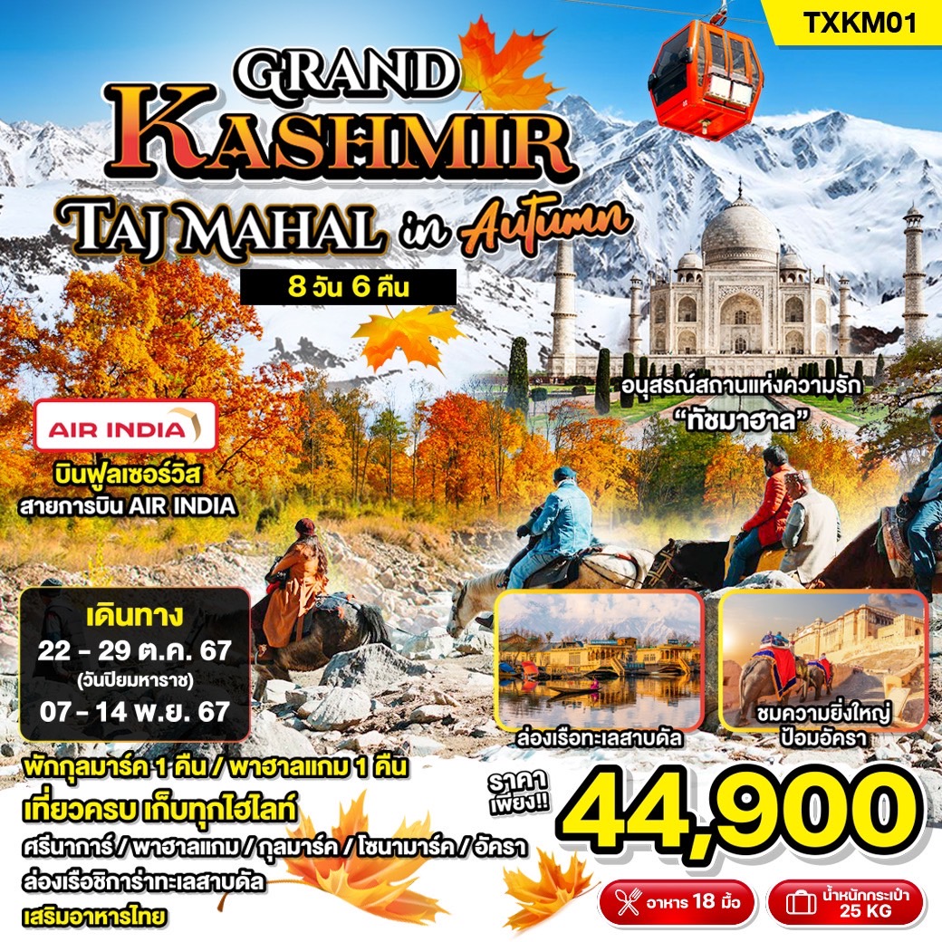 ทัวร์อินเดีย Grand Kashmir Taj Mahal in Autumn 8วัน 6คืน (AI)