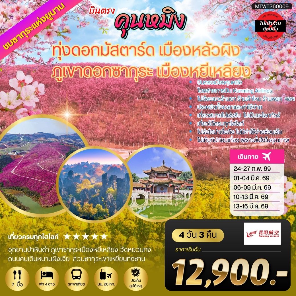 คุนหมิง ชมทุ่งดอกมัสตาร์ด เมืองหลัวผิง ชมภูเขาดอกซากุระ เมืองหยีเหลียง 4 วัน 3 คืน ไม่เข้าร้าน By Kunming Airlines