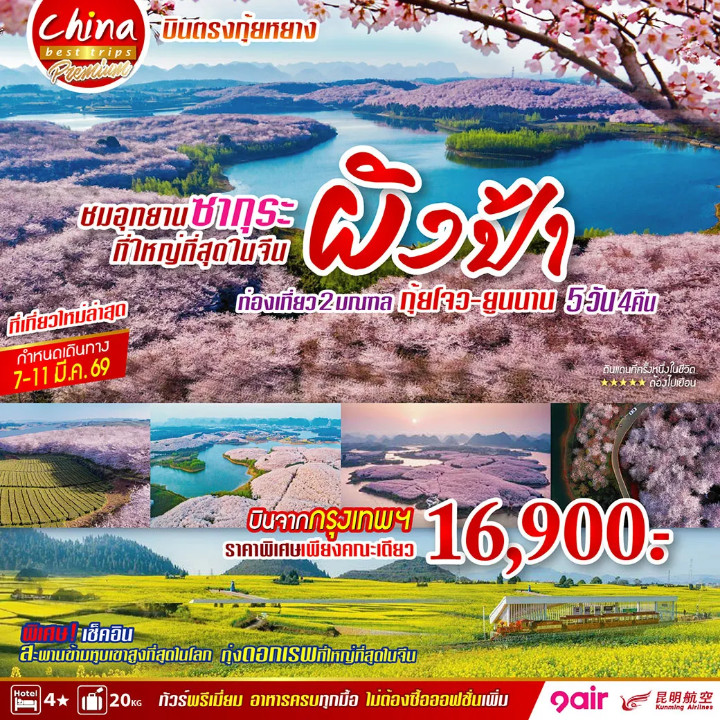 ทัวร์จีน ชมอุทยานซากุระที่ใหญ่ที่สุดในจีน ผิงป้า ท่องเที่ยว 2 มณฑล กุ้ยโจว - ยูนนาน บินตรงกุ้ยหยาง 5วัน 4คืน (AQ)