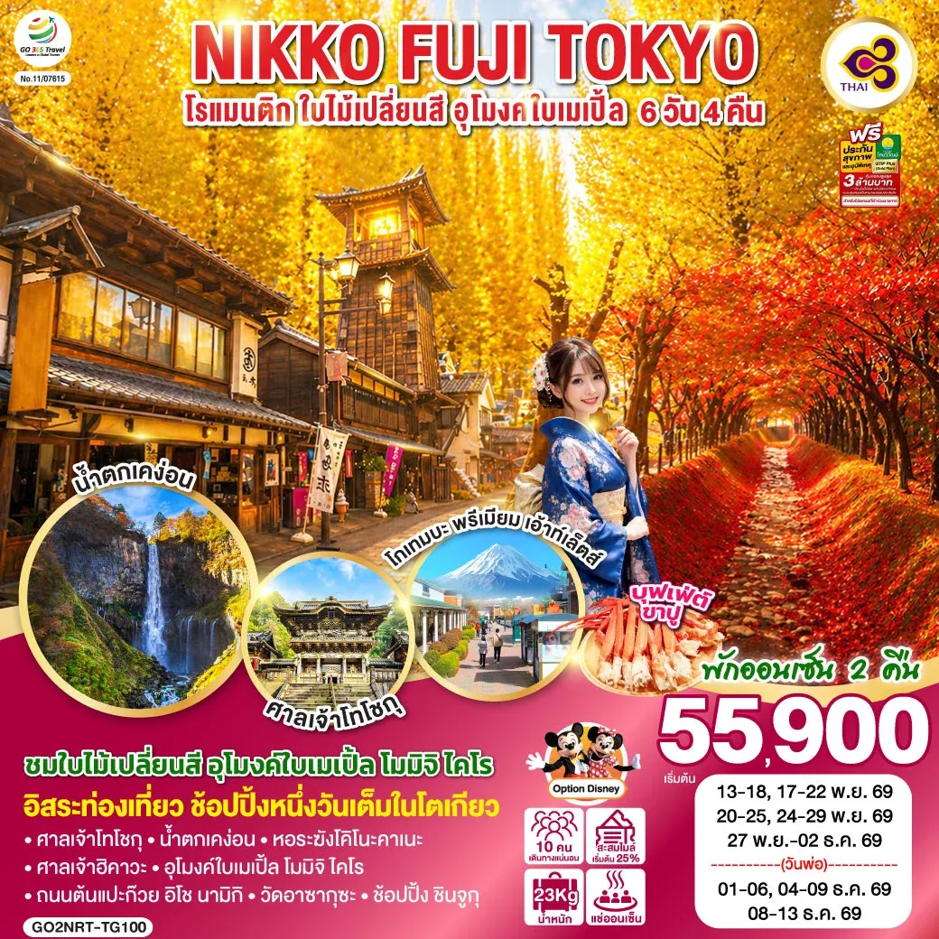 ทัวร์ญี่ปุ่น TOKYO FUJI NIKKO MOMIJI AUTUMN 6วัน 4คืน (TG)
