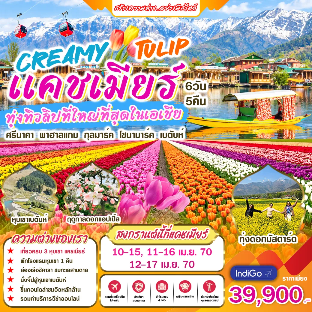 ทัวร์อินเดีย CREAMY TULIP แคชเมียร์ทุ่งทิวลิปที่ใหญ่ที่สุดในเอเชีย 6วัน 5คืน (6E)